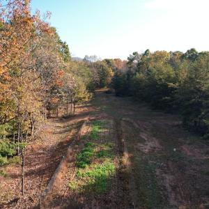 DJI_0010