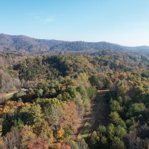 DJI_0013