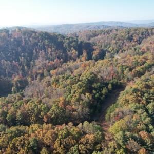 DJI_0019