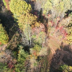 DJI_0024