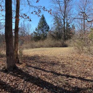 Photo #3 of WHITES FARM LANE, CULPEPER, VA 46.0 acres