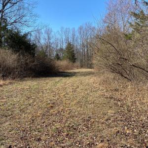 Photo #5 of WHITES FARM LANE, CULPEPER, VA 46.0 acres