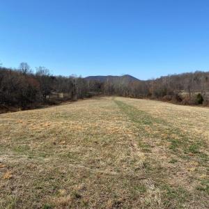 Photo #6 of WHITES FARM LANE, CULPEPER, VA 46.0 acres