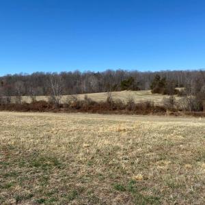 Photo #7 of WHITES FARM LANE, CULPEPER, VA 46.0 acres