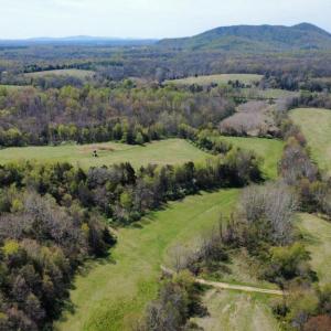 Photo #12 of WHITES FARM LANE, CULPEPER, VA 46.0 acres