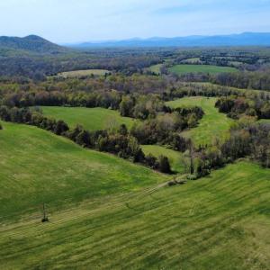 Photo #13 of WHITES FARM LANE, CULPEPER, VA 46.0 acres
