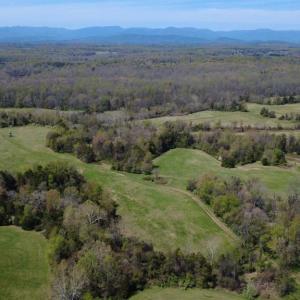 Photo #1 of WHITES FARM LANE, CULPEPER, VA 46.0 acres