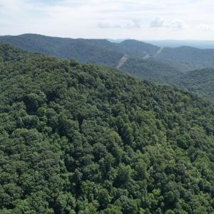 DJI_0205