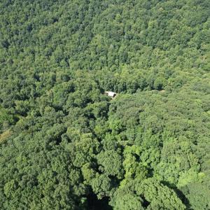 DJI_0197
