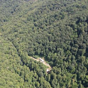 DJI_0202