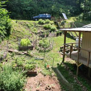 DJI_0214