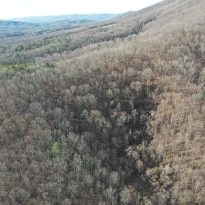 DJI_0006