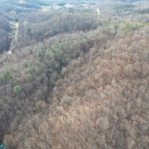 DJI_0005