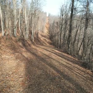 DJI_0011