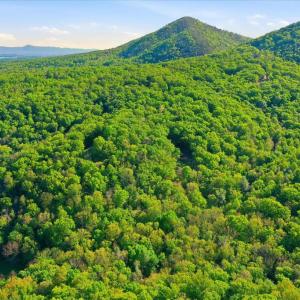 Photo #14 of PARK VIEW LANE, SHENANDOAH, VA 3.3 acres
