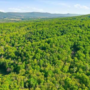 Photo #11 of PARK VIEW LANE, SHENANDOAH, VA 3.3 acres