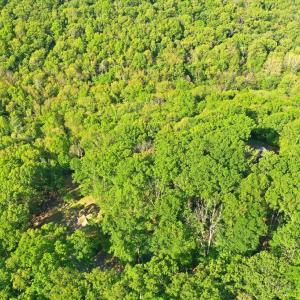 Photo #15 of PARK VIEW LANE, SHENANDOAH, VA 3.3 acres