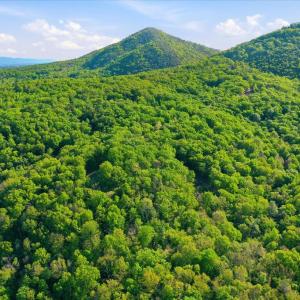 Photo #13 of PARK VIEW LANE, SHENANDOAH, VA 3.3 acres