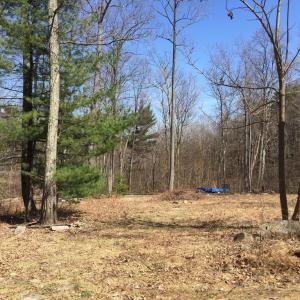 Photo #1 of PADUA LANE, SPERRYVILLE, VA 17.1 acres