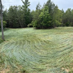 Big Plot AFTER (crimped rye)
