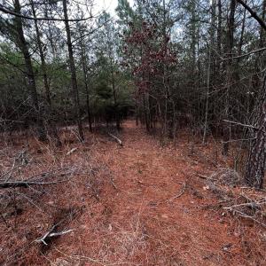 Clover Plot BEFORE