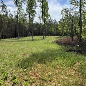 Clover Plot AFTER 2