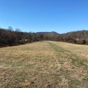 Photo #3 of WHITES FARM LANE RESIDUE, CULPEPER, VA 46.0 acres