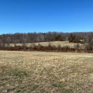 Photo #4 of WHITES FARM LANE RESIDUE, CULPEPER, VA 46.0 acres
