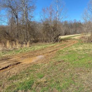 Photo #7 of WHITES FARM LANE RESIDUE, CULPEPER, VA 46.0 acres
