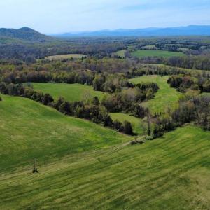Photo #10 of WHITES FARM LANE RESIDUE, CULPEPER, VA 46.0 acres