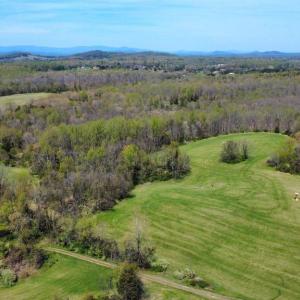Photo #11 of WHITES FARM LANE RESIDUE, CULPEPER, VA 46.0 acres