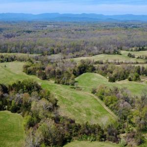 Photo #12 of WHITES FARM LANE RESIDUE, CULPEPER, VA 46.0 acres
