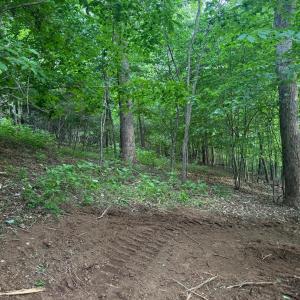 Navigable walking path