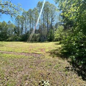 Photo #3 of 23060 LANEWOOD RD, ORANGE, VA 1.5 acres