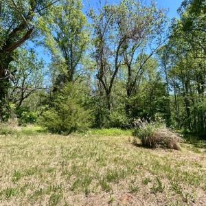 Photo #4 of 23060 LANEWOOD RD, ORANGE, VA 1.5 acres