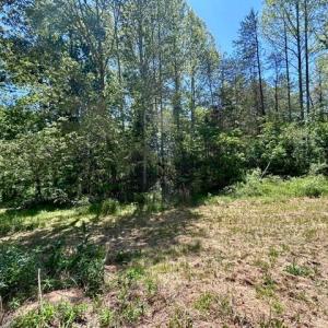 Photo #5 of 23060 LANEWOOD RD, ORANGE, VA 1.5 acres