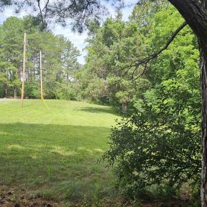 View from lot 35 across lots