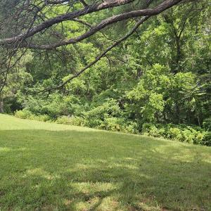 View across from lot 35