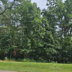 Lot 34
