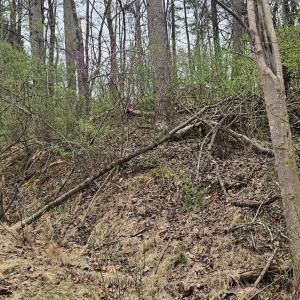 old road bed