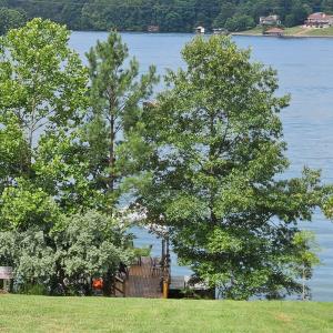 Lakeland Pines Lot 35 shared dock