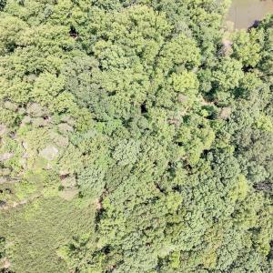 Lot 170 Talon Ridge Road (21)