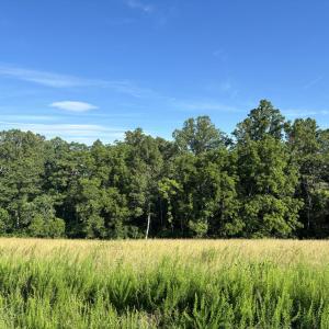 IMG_5516
