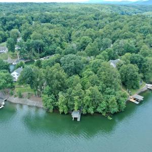 Lot 67 walnut run