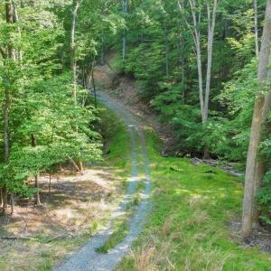 08-DJI_20250605013806_0007_D