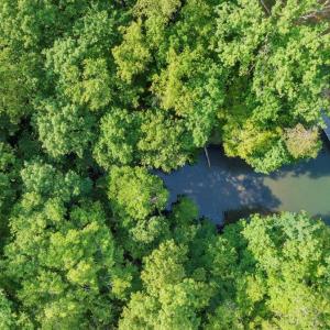 12-DJI_20250605014002_0011_D