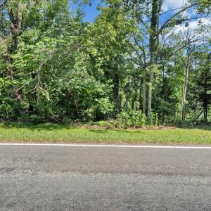 54-MIB02828