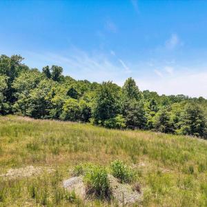 04-DJI_0673
