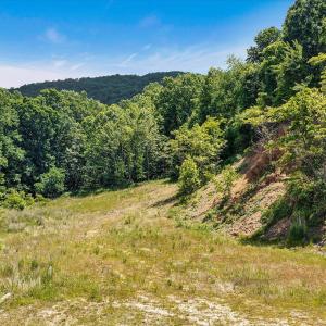 05-DJI_0676