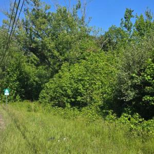 Photo #3 of 4336 MASSAPONAX CHURCH RD, FREDERICKSBURG, VA 3.0 acres